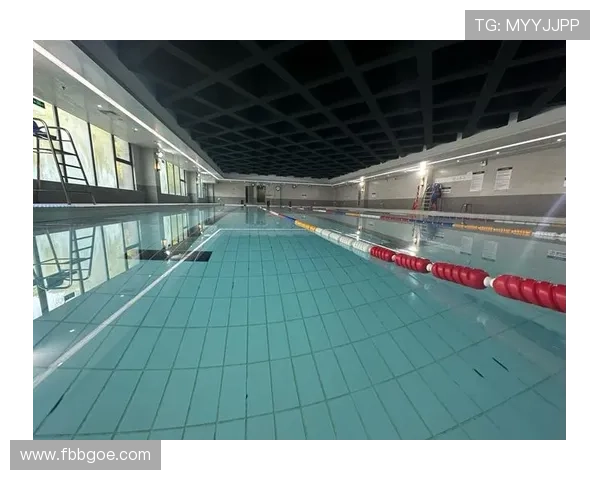 畅享水上盛宴全面解析游泳比赛观赛技巧与实用指南